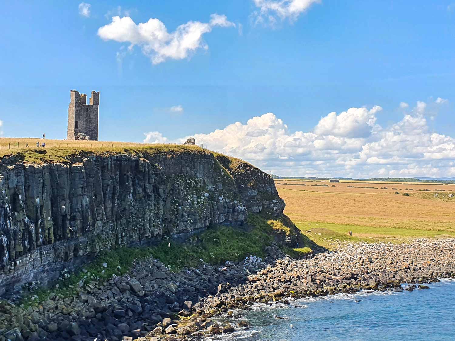 View across the cliffs to the remains of one of the square stone towers and yellow hay in the fields - visiting Dunstanburgh Castle Northumberland with kids
