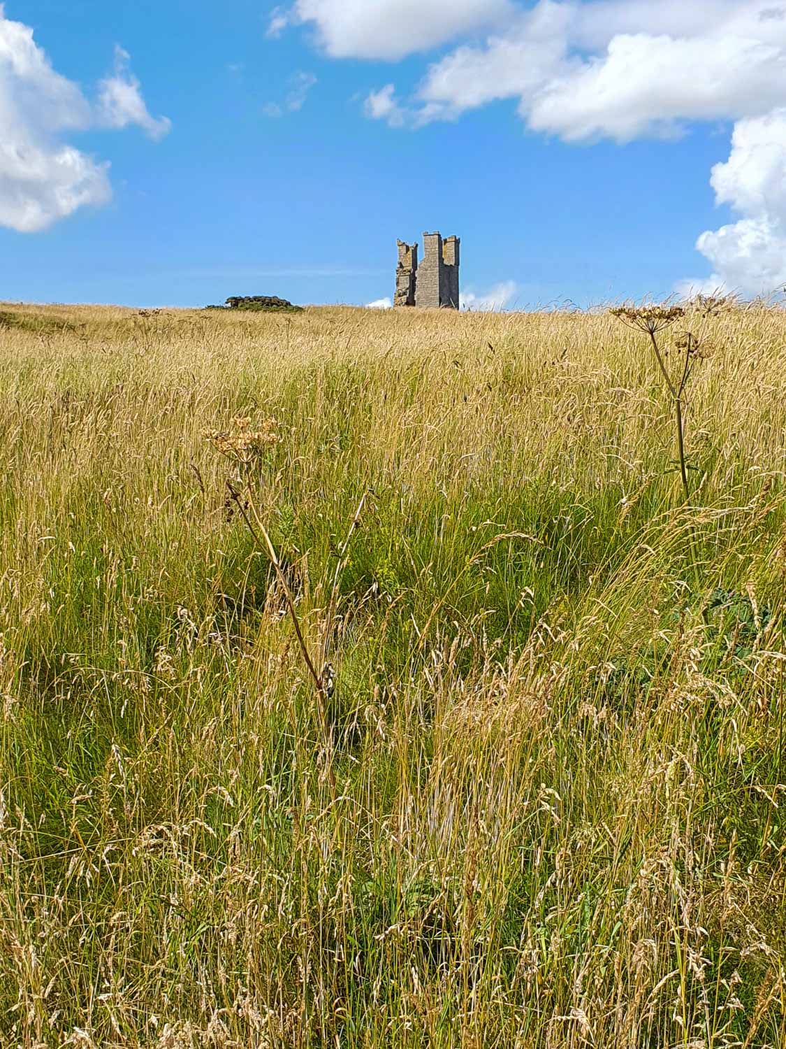 View across the summer grass to the ruins of a square tower, just seen, standing alone against a blue sky - visiting Dunstanburgh Castle with kids