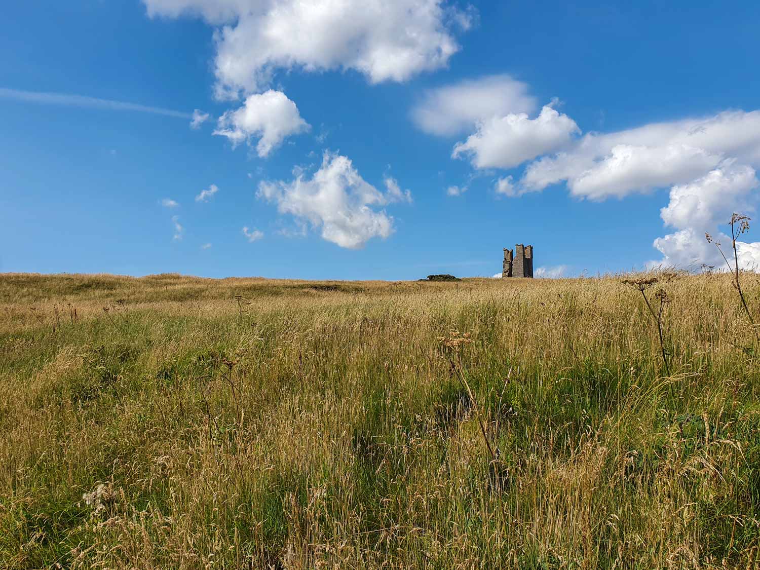 View across the summer grass to the ruins of a square tower, just seen, standing alone against a blue sky - visiting Dunstanburgh Castle with kids