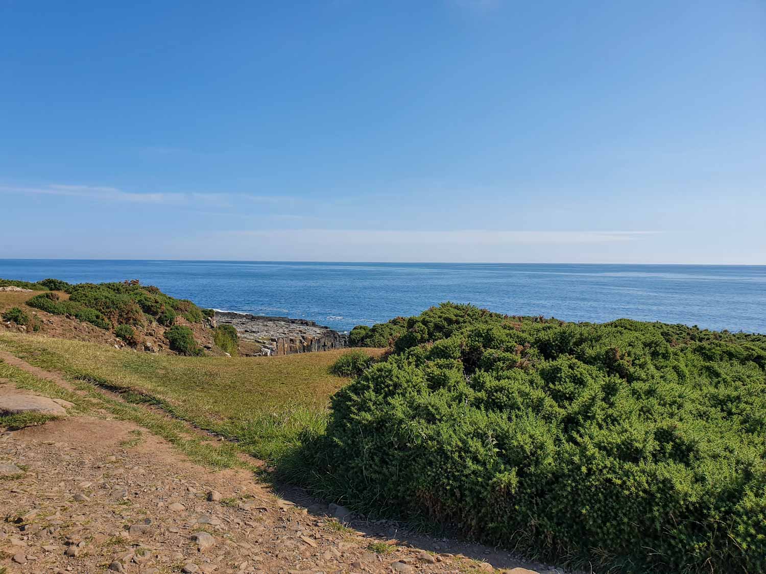 View from the path between Craster and Dunstanburgh Castle, Northumberland, over green plants to the sea