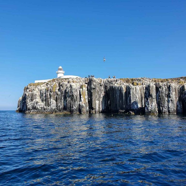 View of the white lighthouse on a Farne Islands boat tour spotting seabirds and puffins - a great day out in Northumberland with kids