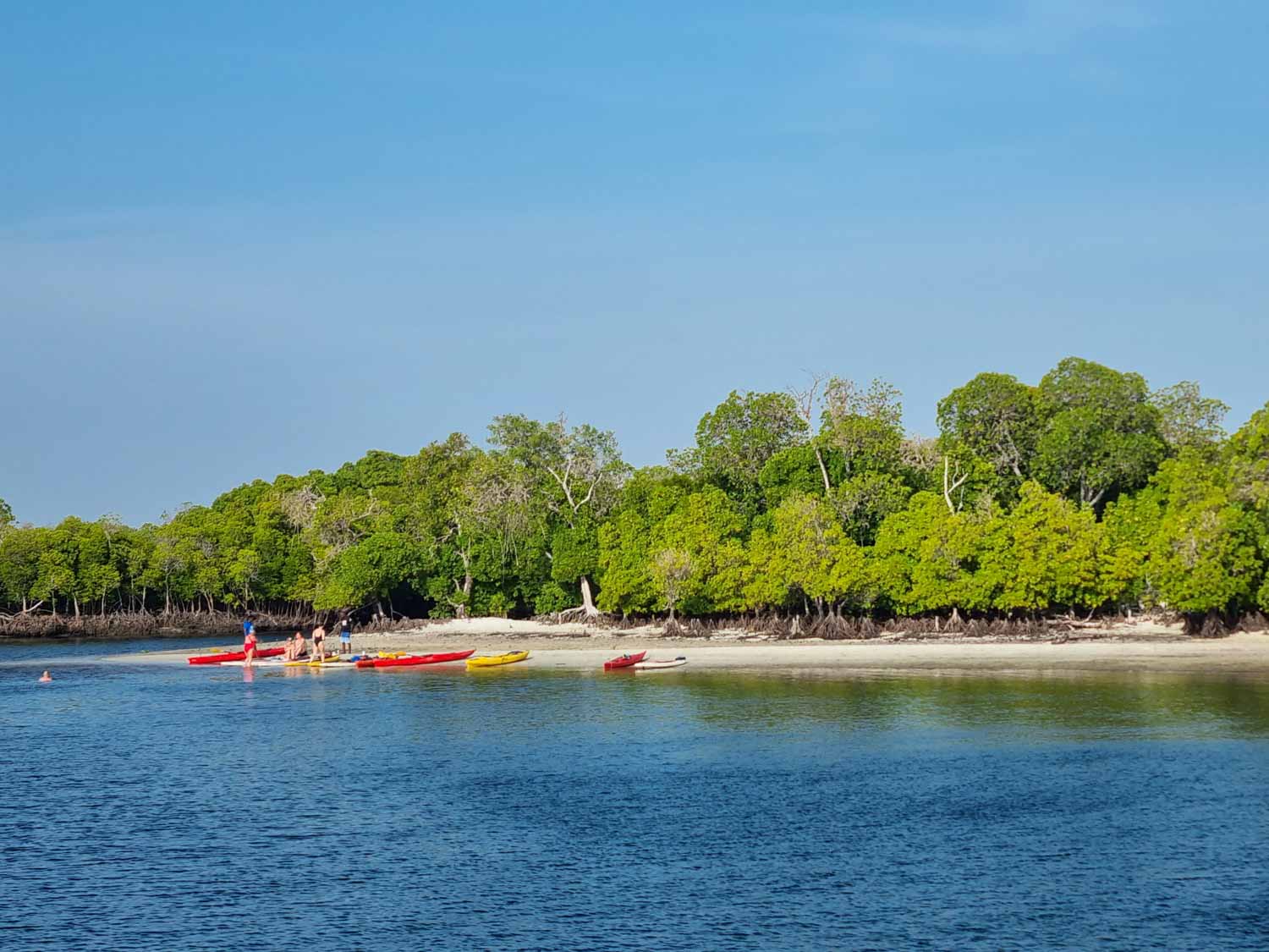 Kayaks on the banks of the creek by the mangroves, seeing during our dhow cruise, arranged by Hemingways Watamu - my review