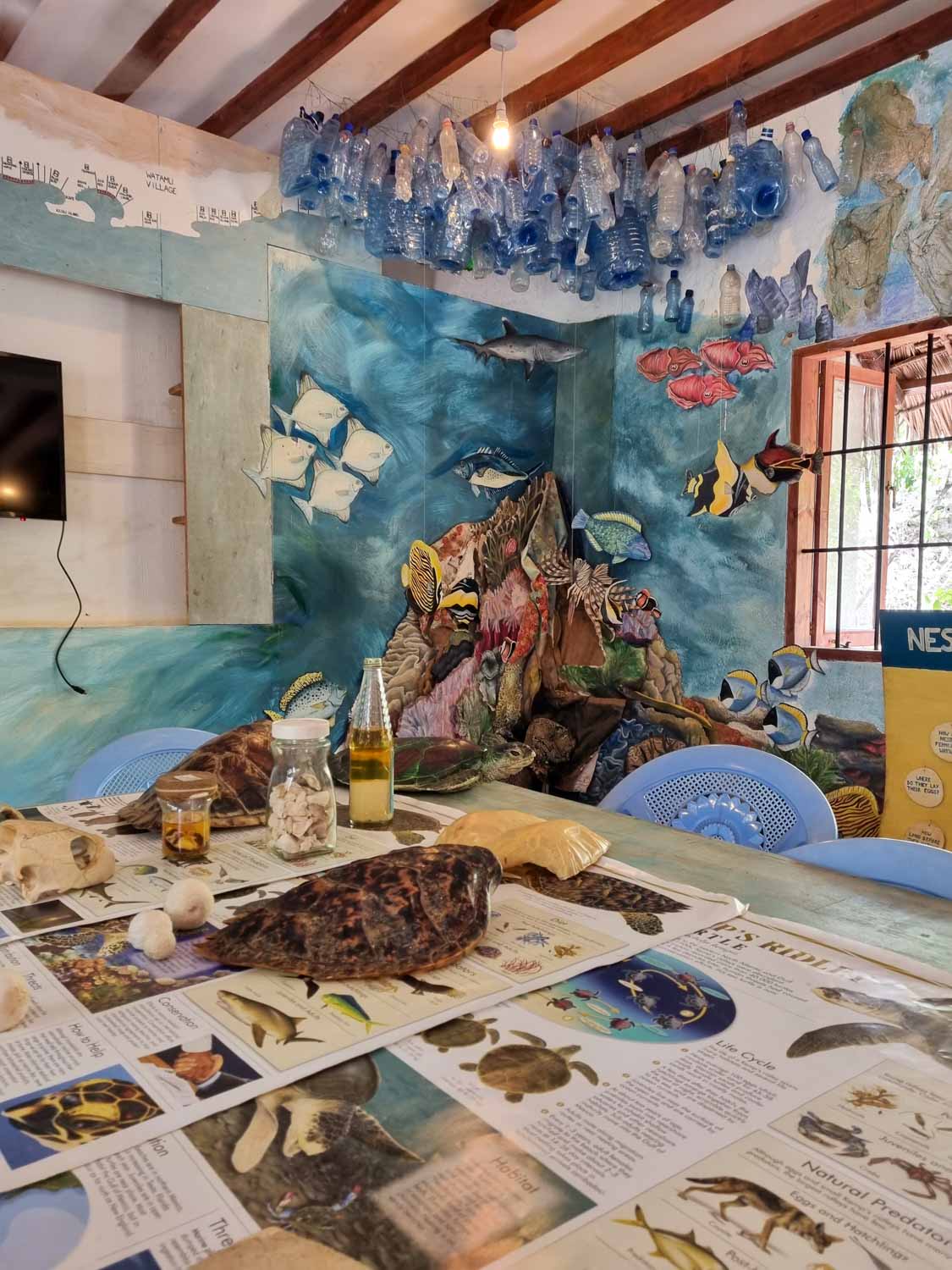 View of a table with turtle shells and information sheets, a painted wall showing the sea and hanging plastic bottles at Watamu Turtle Sanctuary, one of our day trips during a stay at Hemingways Watamu with kids