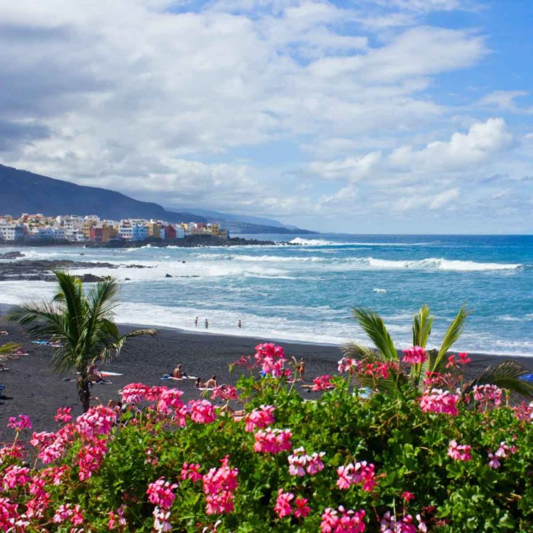 View of flowers over to the black sand beach of Playa Jardin, Puerto de la Cruz - visiting is one of my things to do in Tenerife with kids