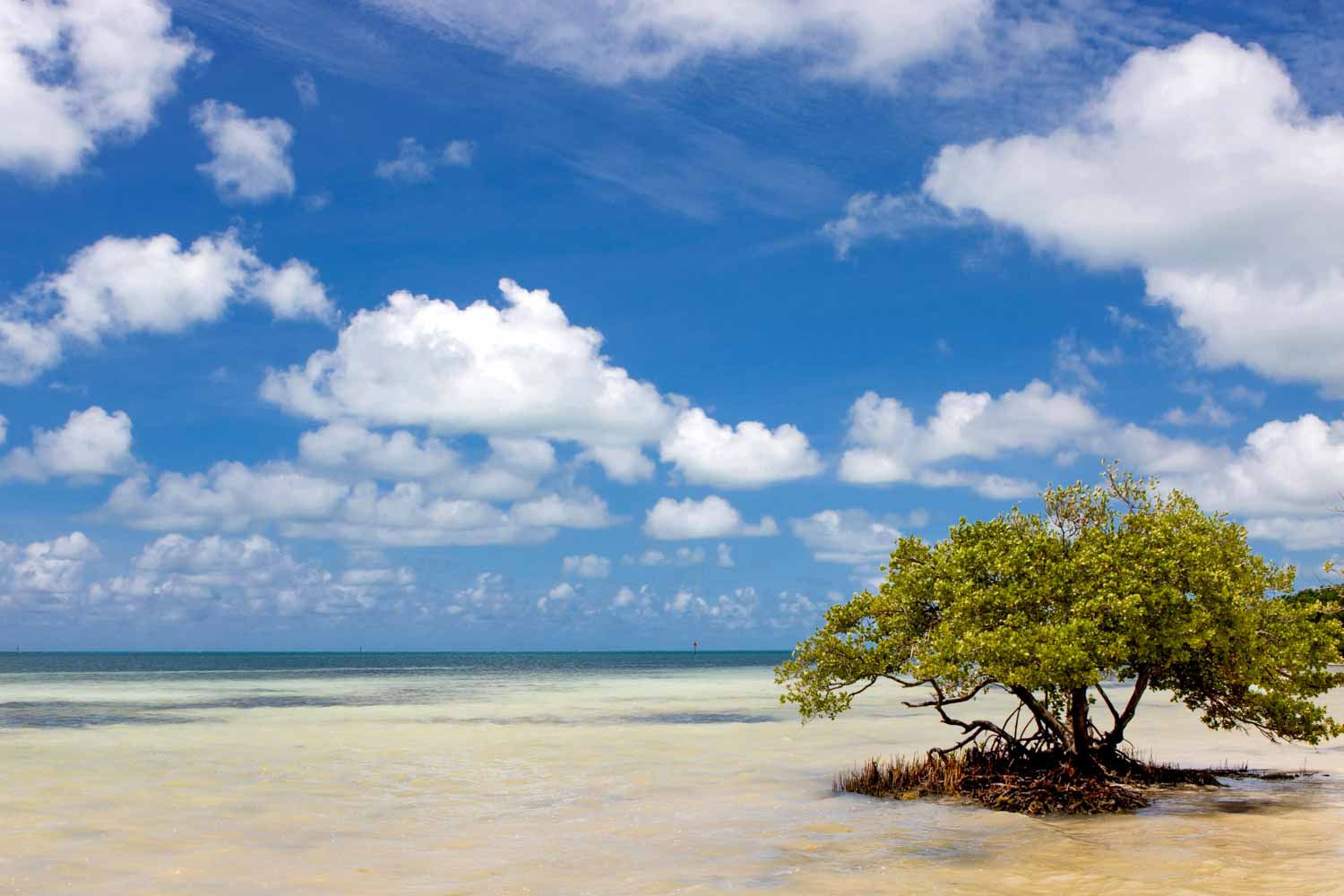 Anne's Beach in Islamorada, one of a string of white sand beaches to include on a Florida Keys itinerary with kids