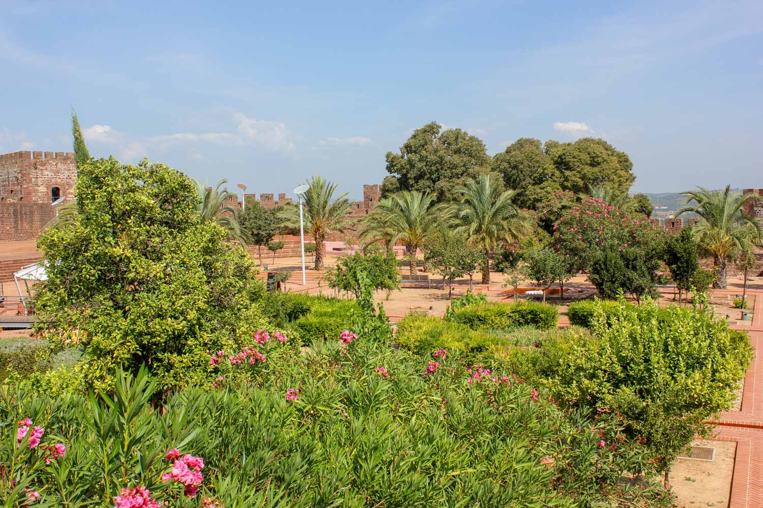 Pink flowers and palm trees in the gardens in Silves Castle in the Algarve during a family day out