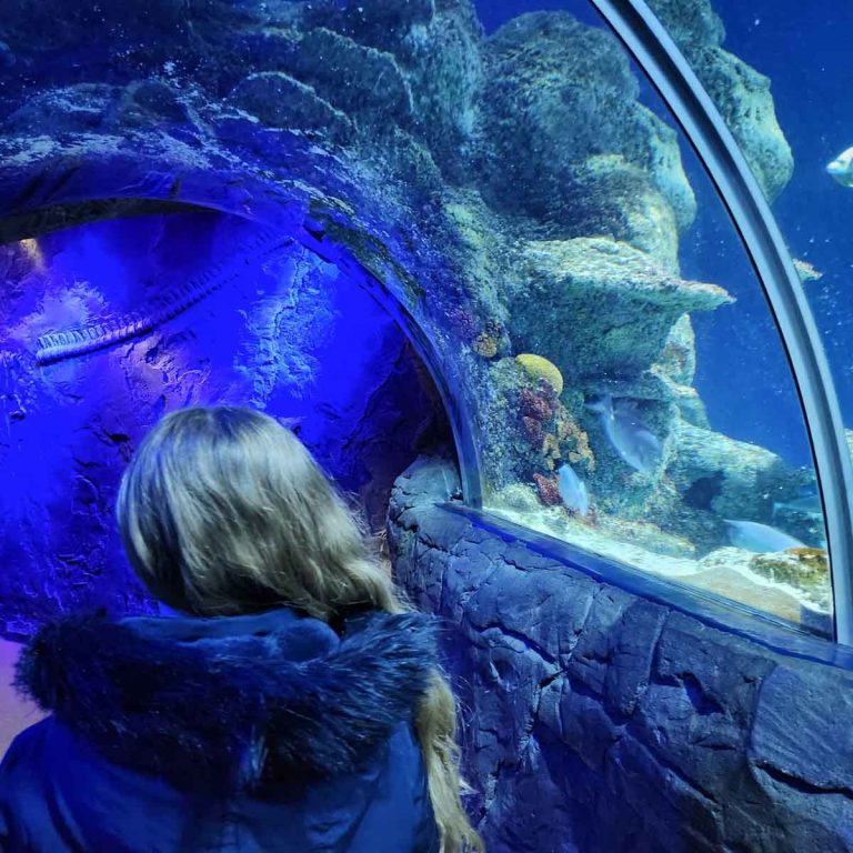 My daughter walks into the aquarium tunnel under the huge ocean tank - my Sea Life London aquarium review of a day out with kids