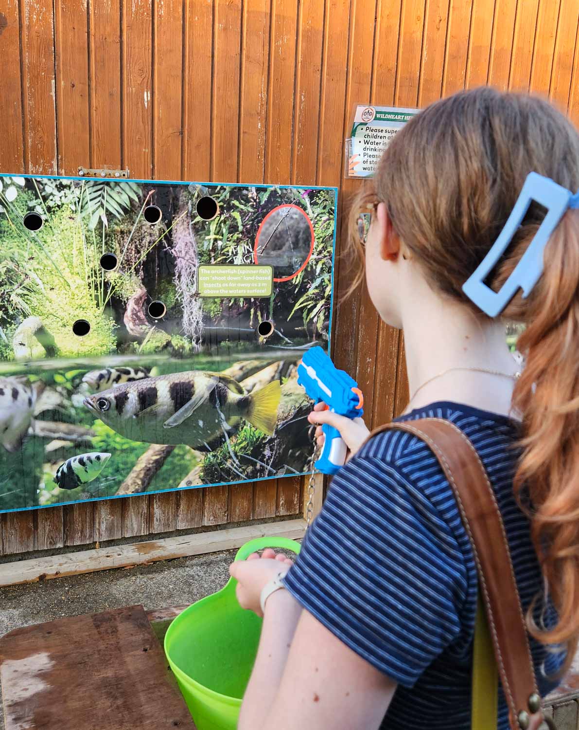 My daughter holds a water pistol to mimic an archer fish, one of the games to play at Wildheart Animal Sanctuary - a visit is one of the best things to do on the Isle of Wight with kids