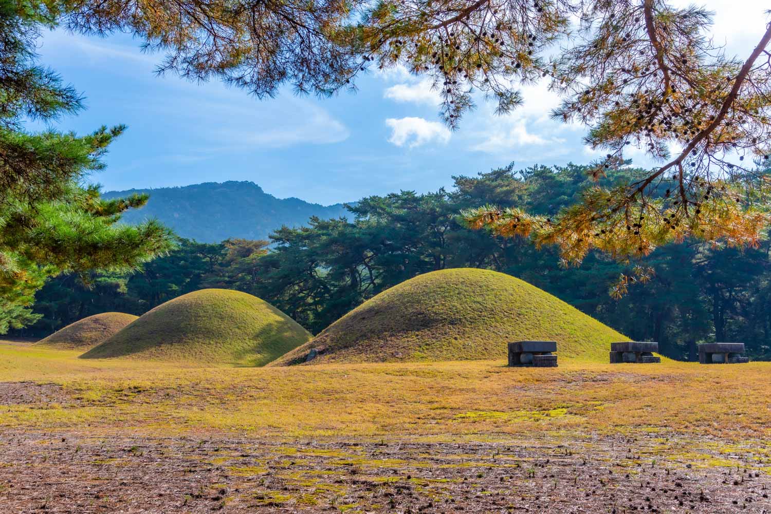 Samneung royal tombs at Namsan mountain - climbing the mountain is one of the unusual things to do in Gyeongju with kids