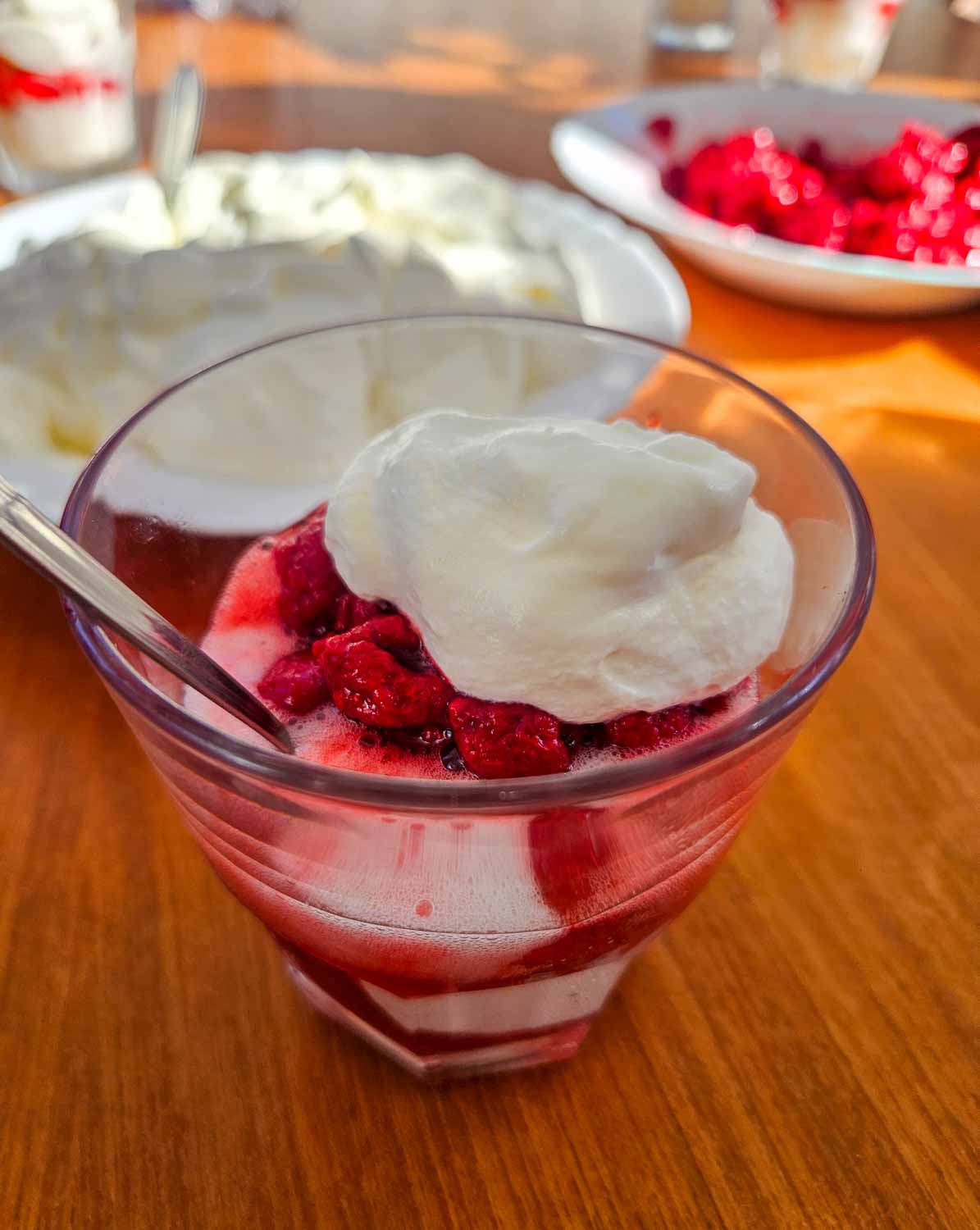 Lemon sorbet with rapoberries and whipped cream on board our More sailing catamaran during my Croatia Sailing holiday with kids