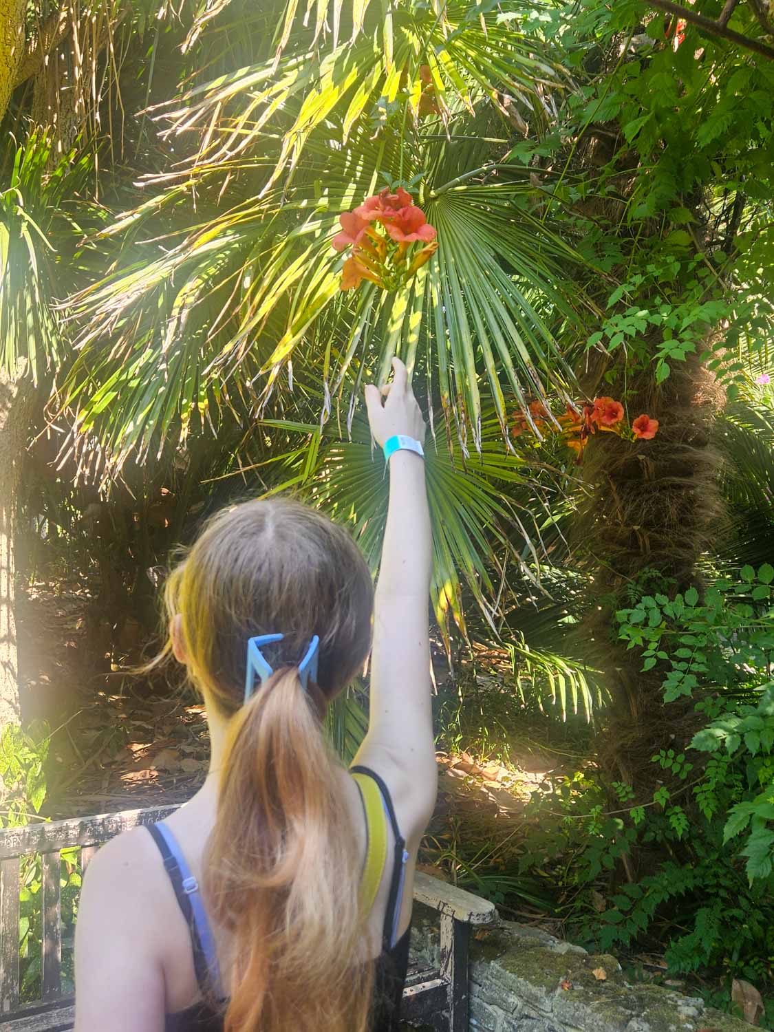 My daughter stretches up to one of the colourful tropical flowers at Ventnor Botanic Garden - a visit is one of the best things to do with kids on the Isle of Wight