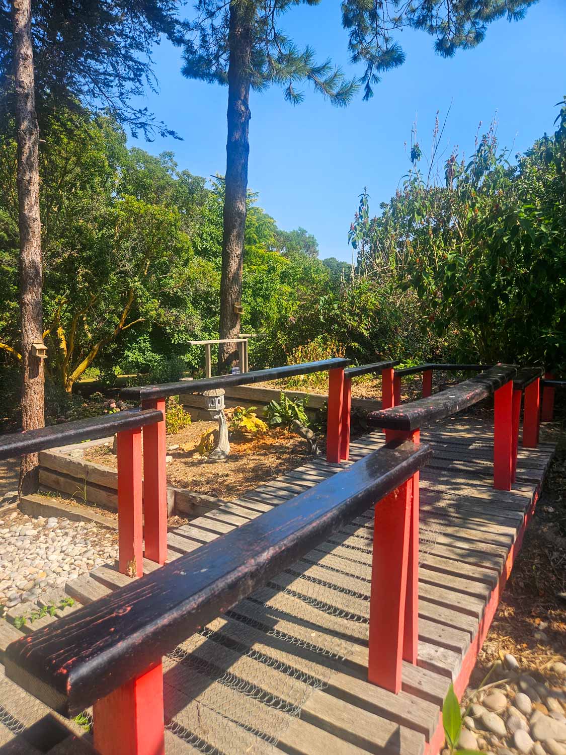 The red painted Japanese bridge at Ventnor Botanic Garden - a visit is one of the best things to do with kids on the Isle of Wight