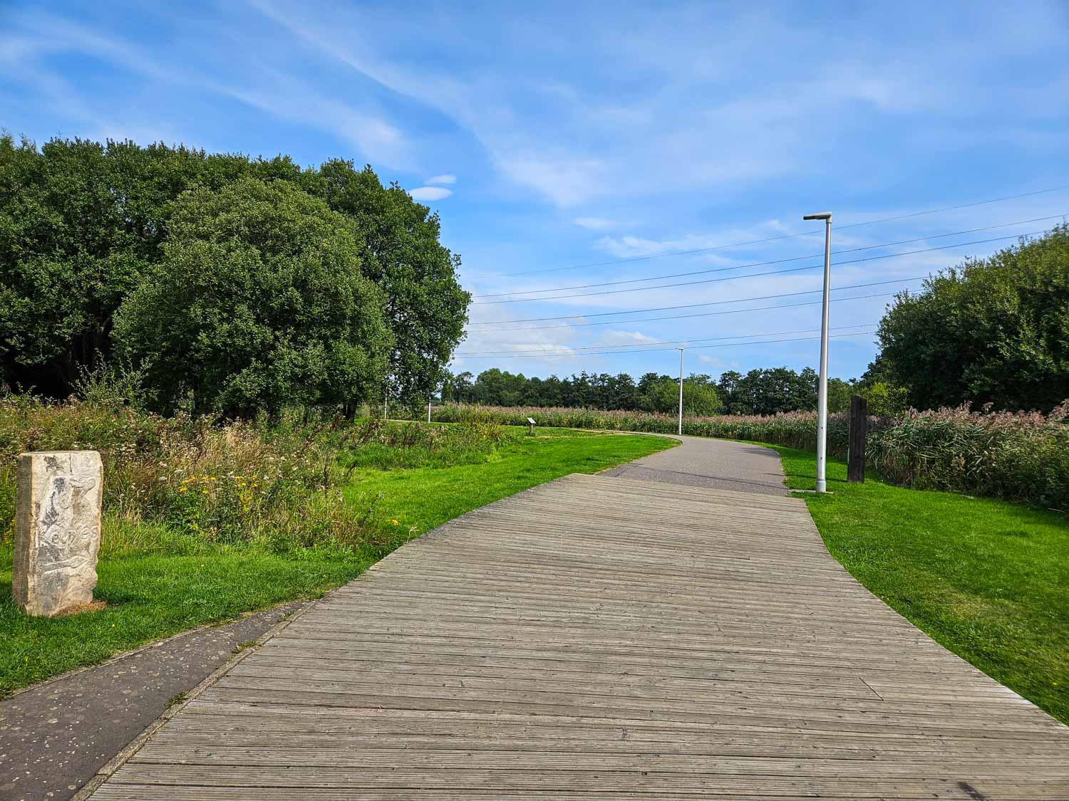 Boardwalk path leading from the car park through the woods and wetlands at Helix Park - my pick of the best things to do in Falkirk with kids