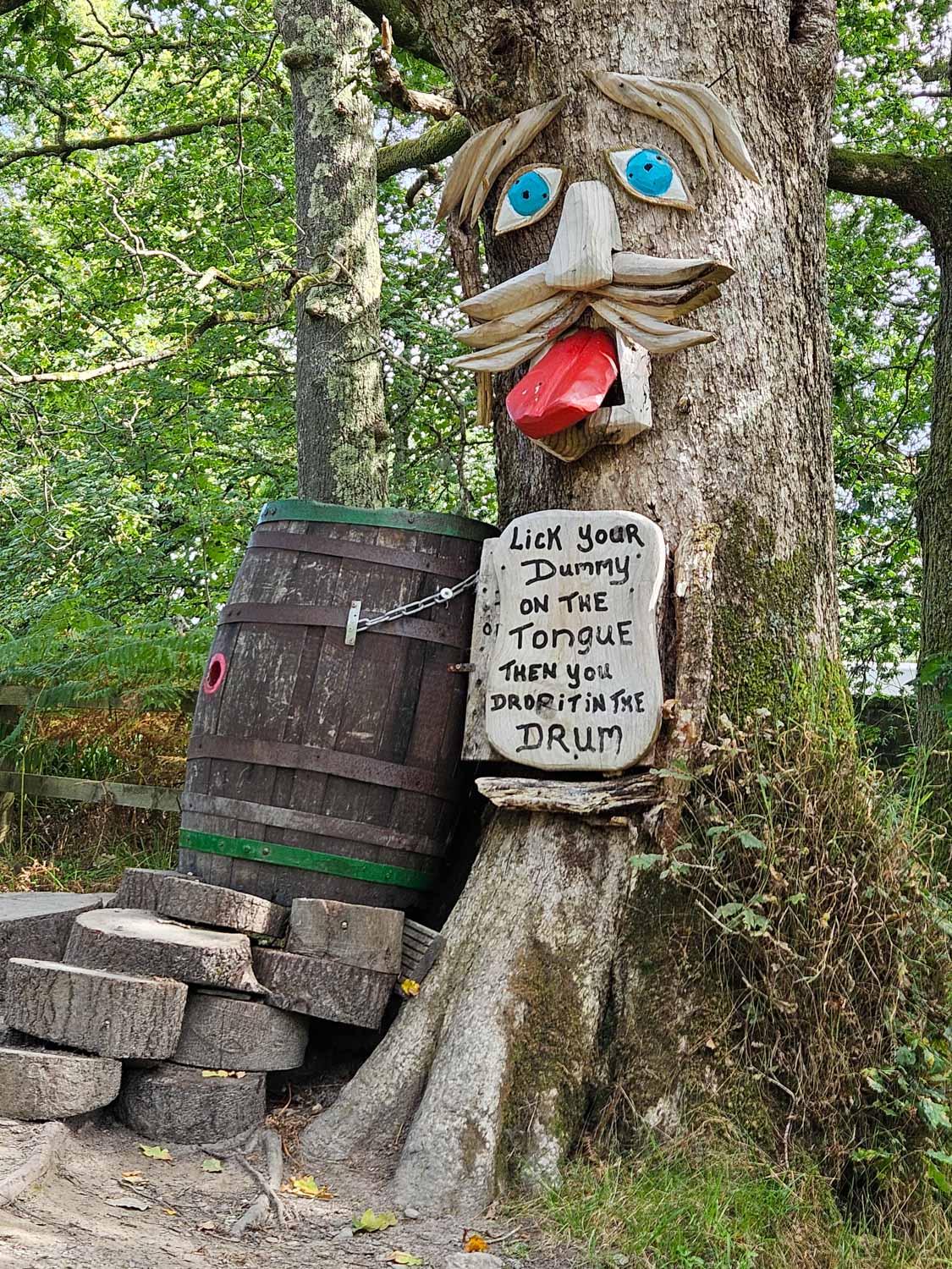Tree with a face next to a barrel on the faerie trail in Luss - my pick of the best things to do in Loch Lomond with kids