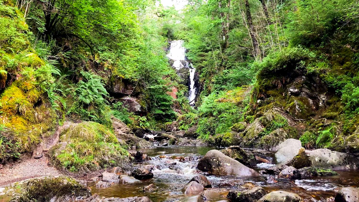 Little Fawn waterfall at Queen Elizabeth Forest Parksurrounded by trees and ferns - my pick of the best things to do in Loch Lomond with kids