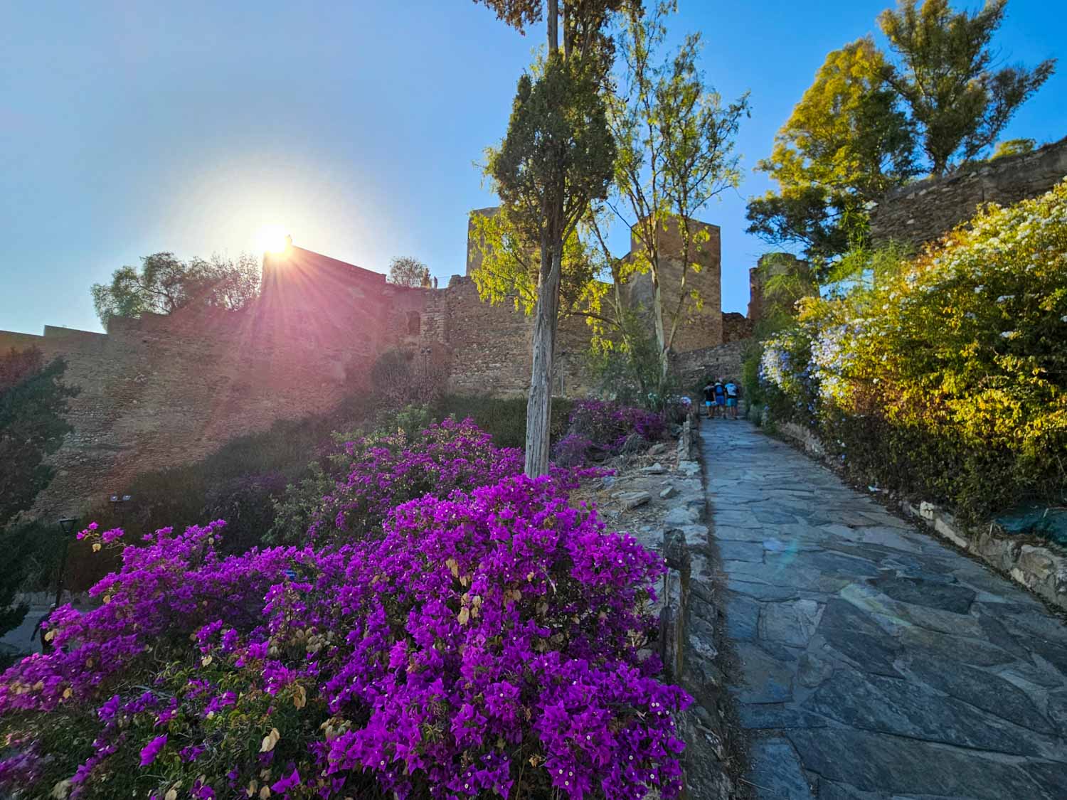 The steep flower-lined path up to Gibralfaro Castle in Malaga - a visit is one of the best things to do in Malaga with kids