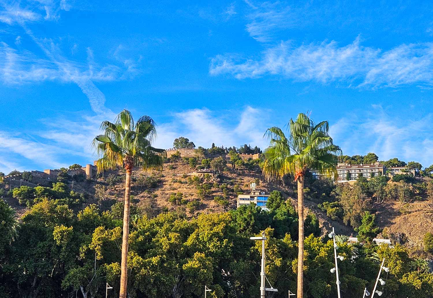 View up the hill to Gibralfaro castle with tall palm trees in the foreground - a visit is one of the great things to do with kids in Malaga