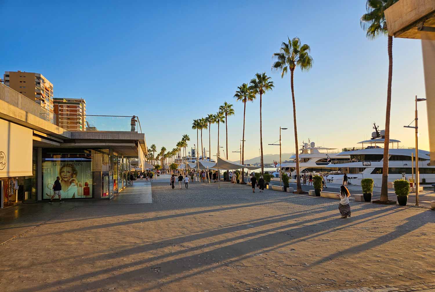 View along the palm-lined waterfront known as Muelle Uno with some of the yachts moored - a visit is one of the best things to do in Malaga with kids