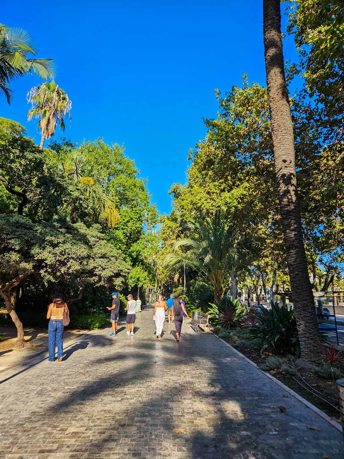 Paved path in Paseo del Parque, shaded by palm trees - a visit is one of the best things to do in Malaga with kids